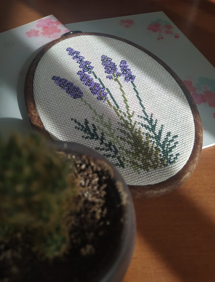 pexels photo 29055580.jpeg